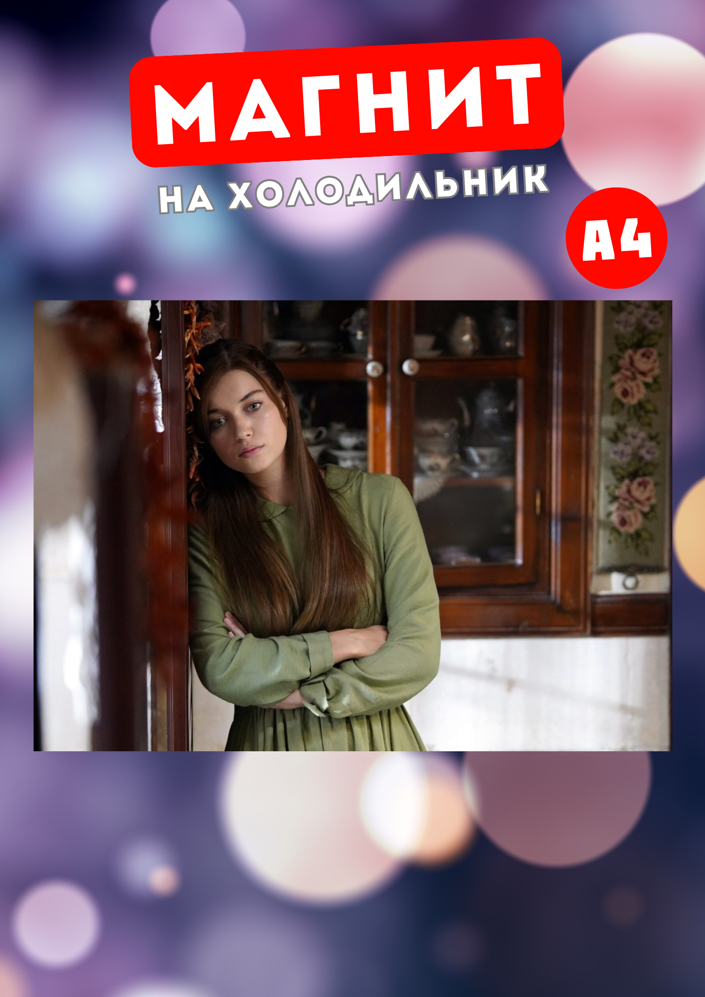 

Магнит на холодильник Магнитная история Зимородок Афра Сарачоглу зим2