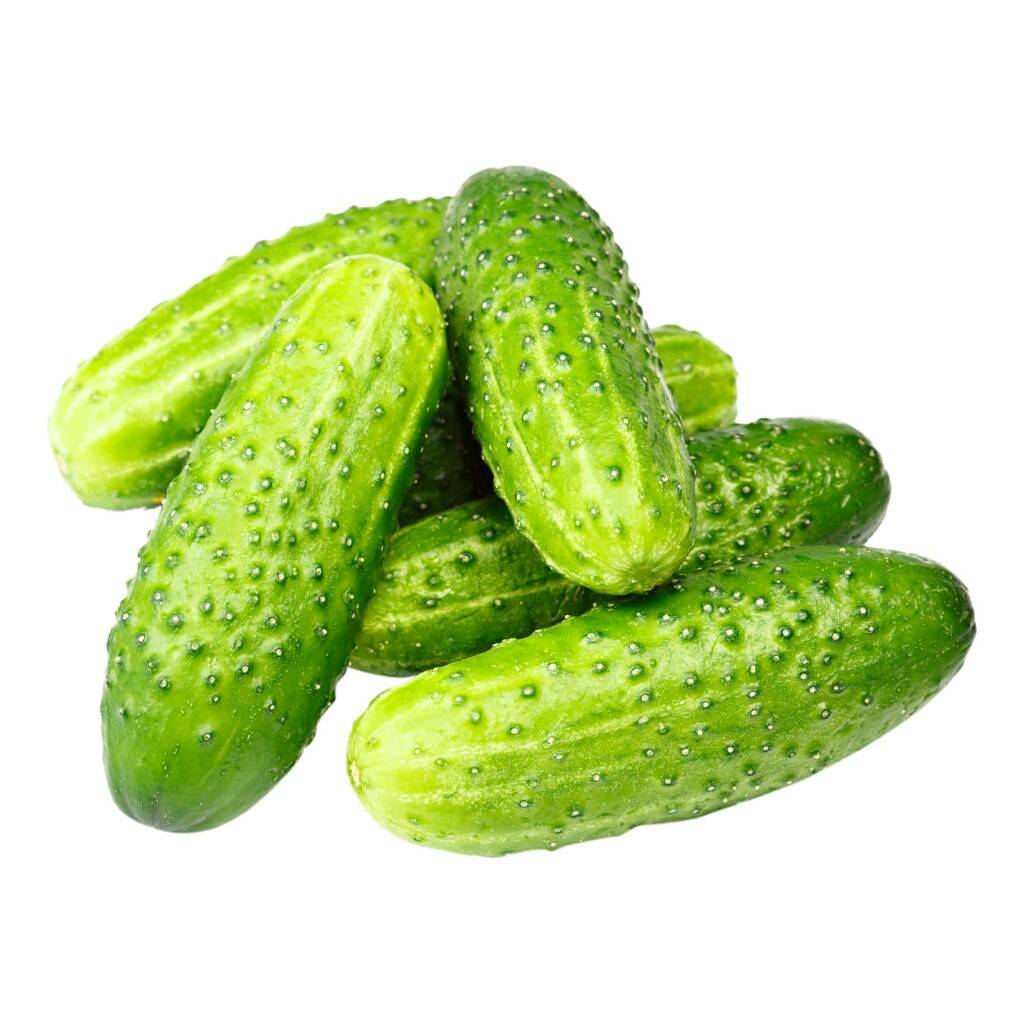 

Рассада огурец Агродекор Куколка AGRO4111 10 шт.