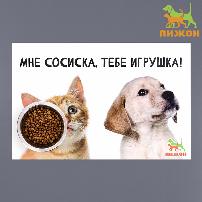 

Коврик под миску Пижон Мне сосиска, тебе игрушка, ПВХ, разноцветный, 43х28 см