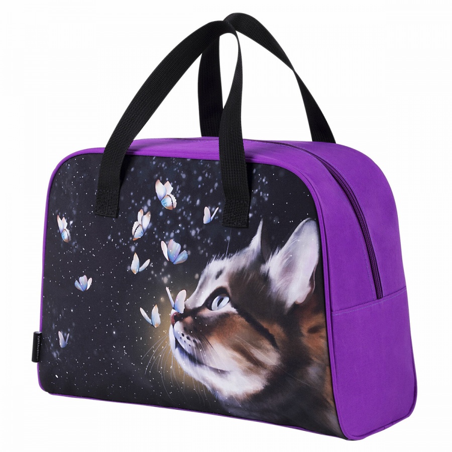

Сумка для внешкольных занятий Brauberg Dream cat с ручками, 35x25x15см