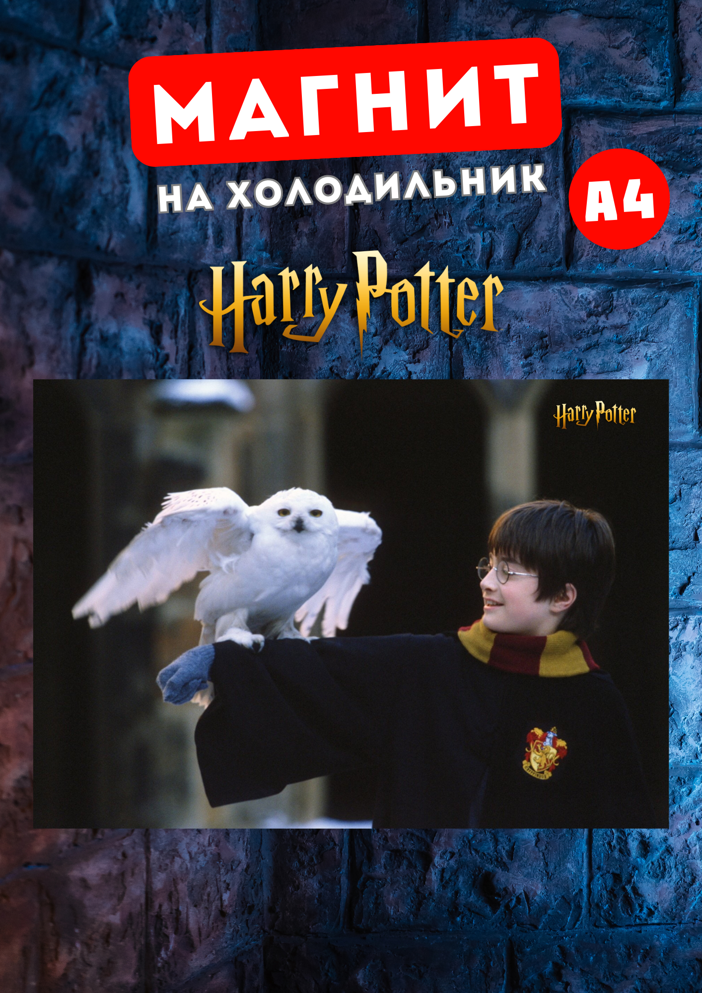 

Магнит на холодильник Магнитная история Гарри Поттер гп9