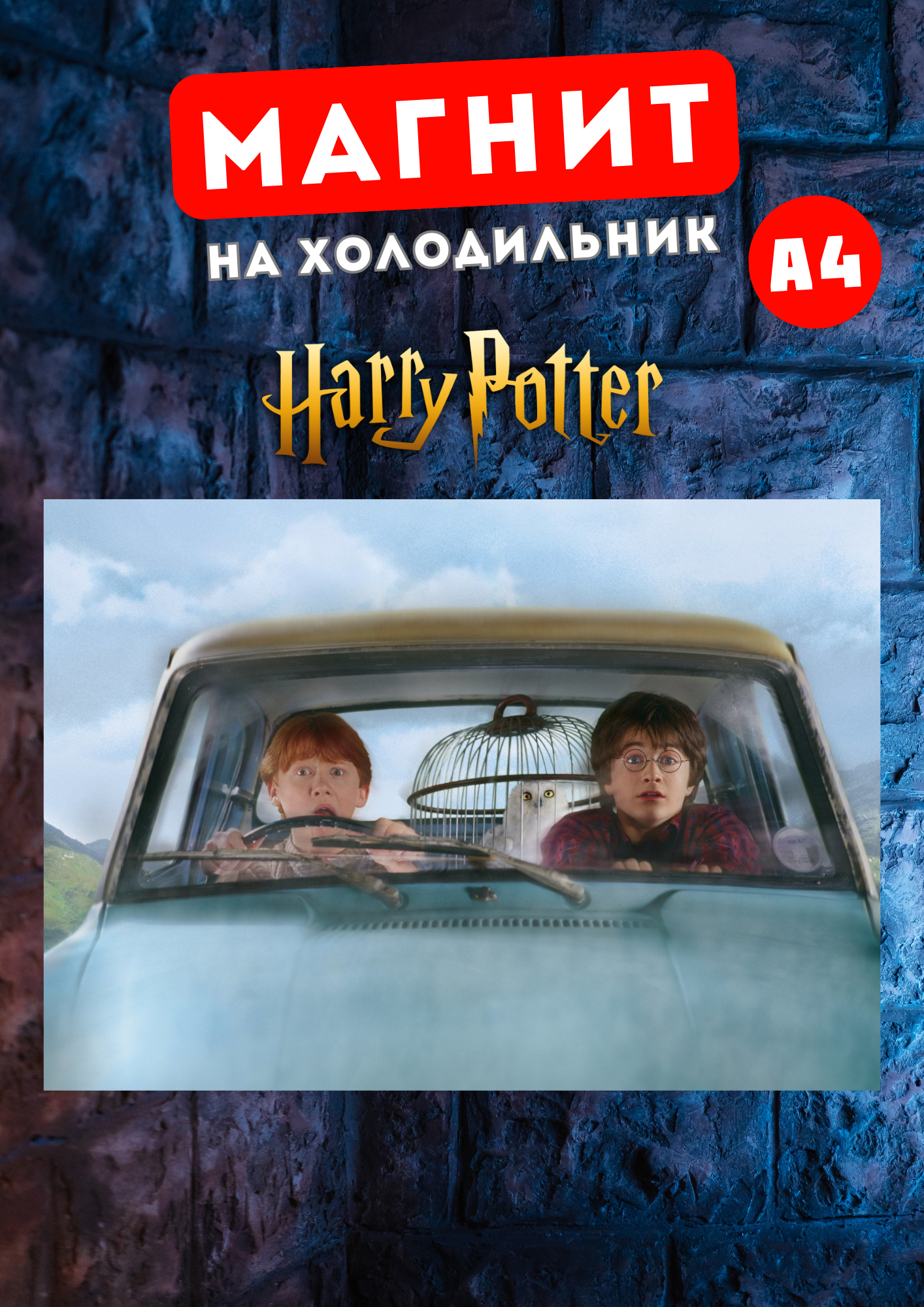 

Магнит на холодильник Магнитная история Гарри Поттер гп5