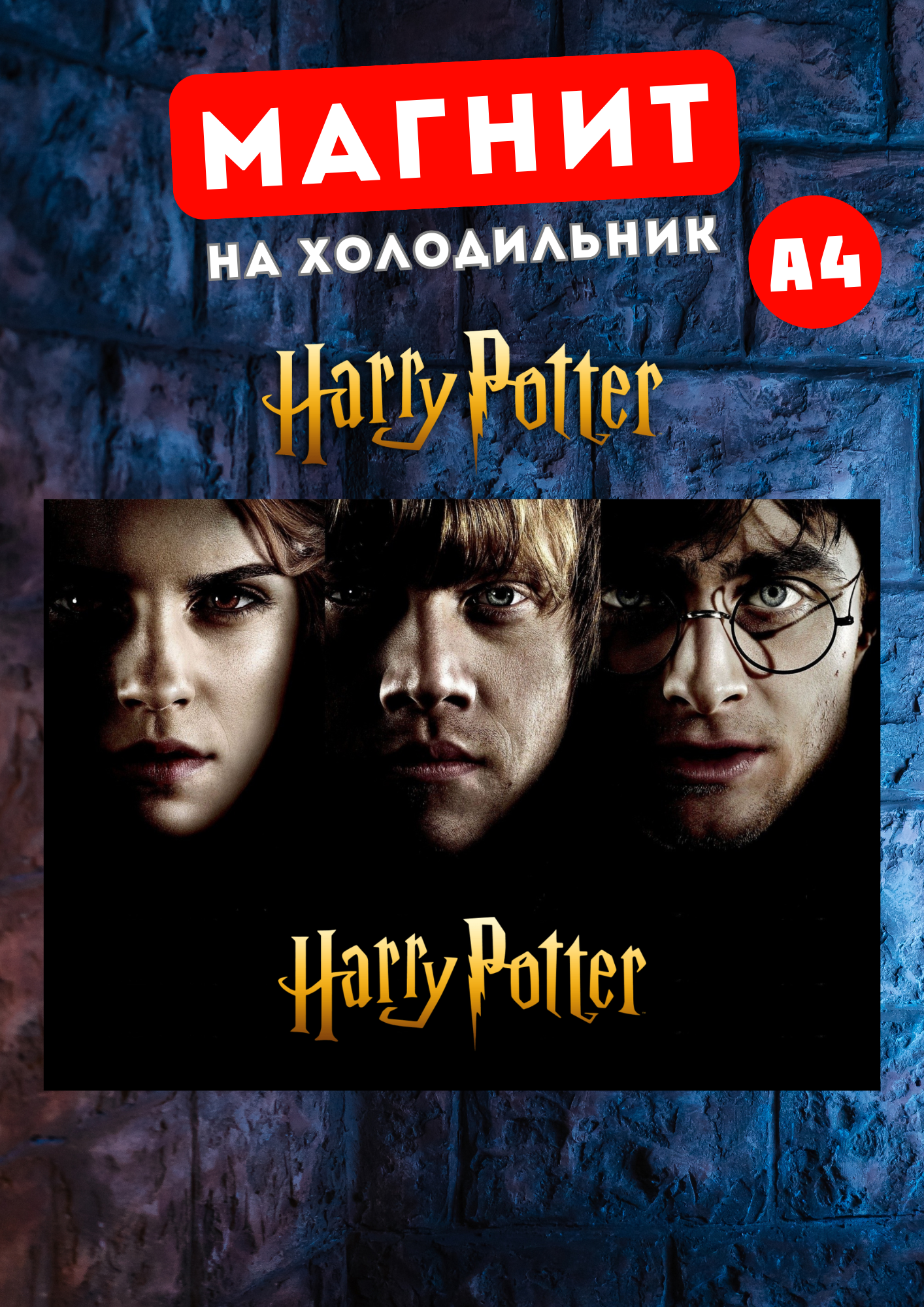 

Магнит на холодильник Магнитная история Гарри Поттер гп2