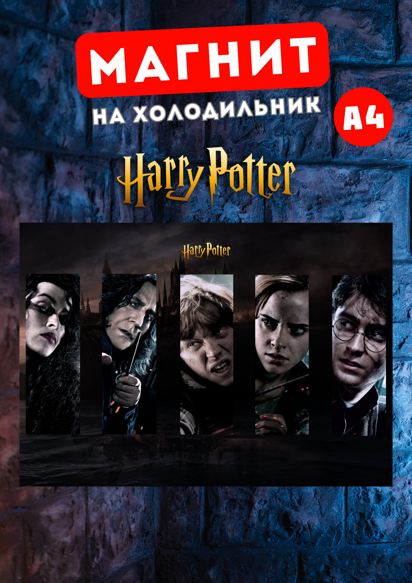 

Магнит на холодильник Магнитная история Гарри Поттер гп13