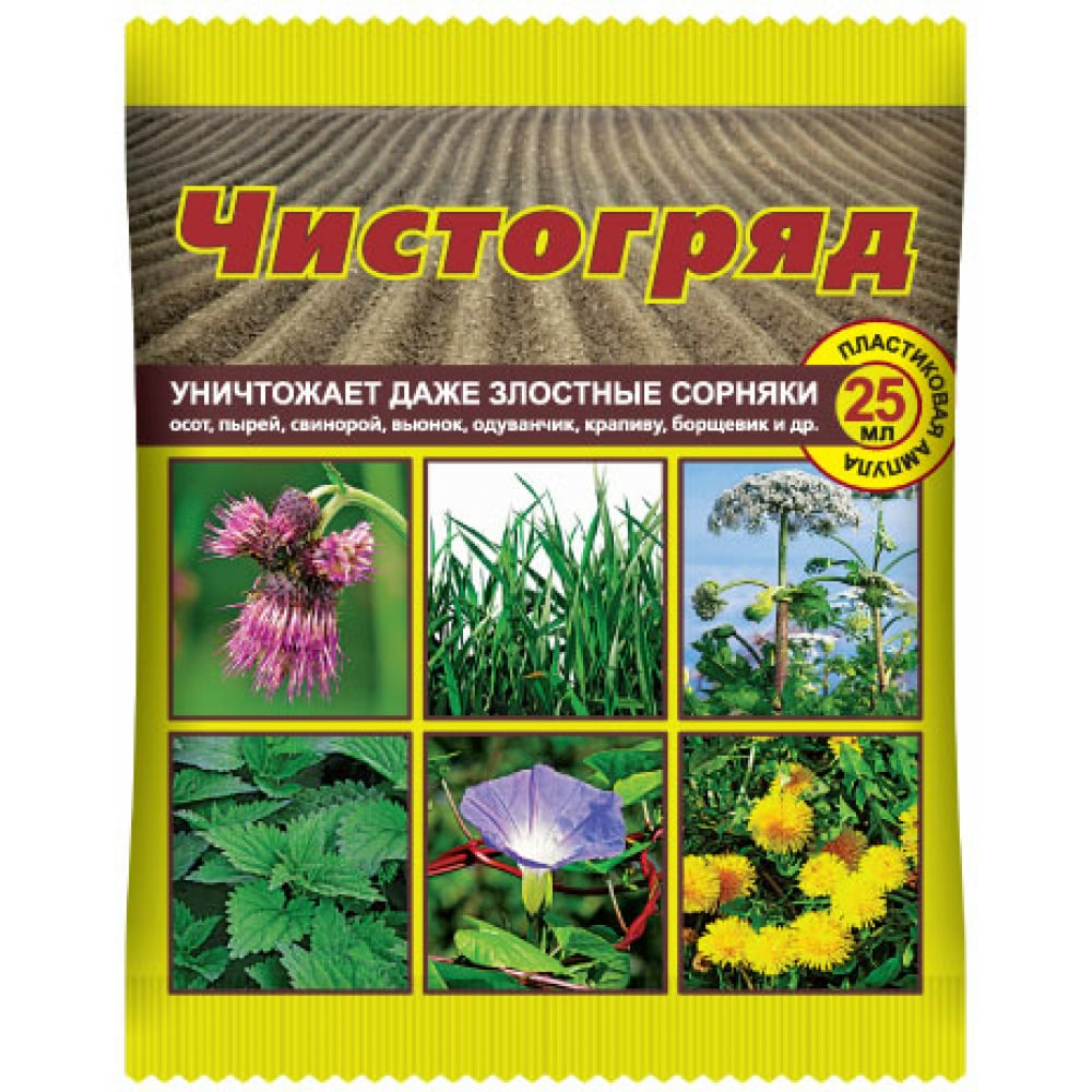 

Чистогряд 1351420