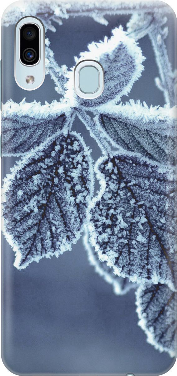 

Силиконовый чехол на Samsung Galaxy A40 с принтом "Замерзшие листочки", Белый;синий, 2849