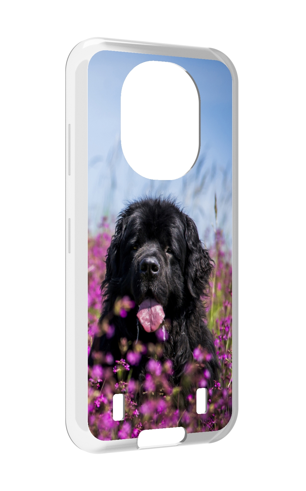 

Чехол MyPads ньюфаундлед для Oukitel WP16, Прозрачный, Tocco