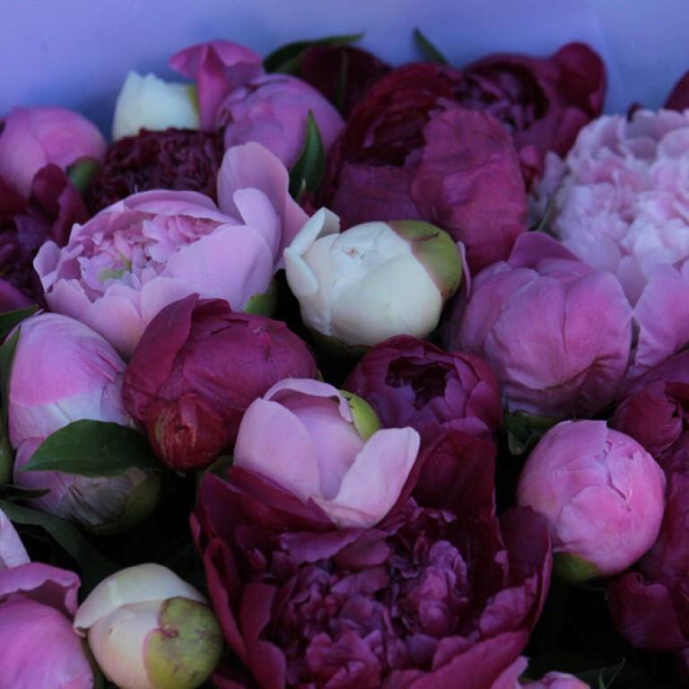 

51 пион микс в дизайнерской упаковке