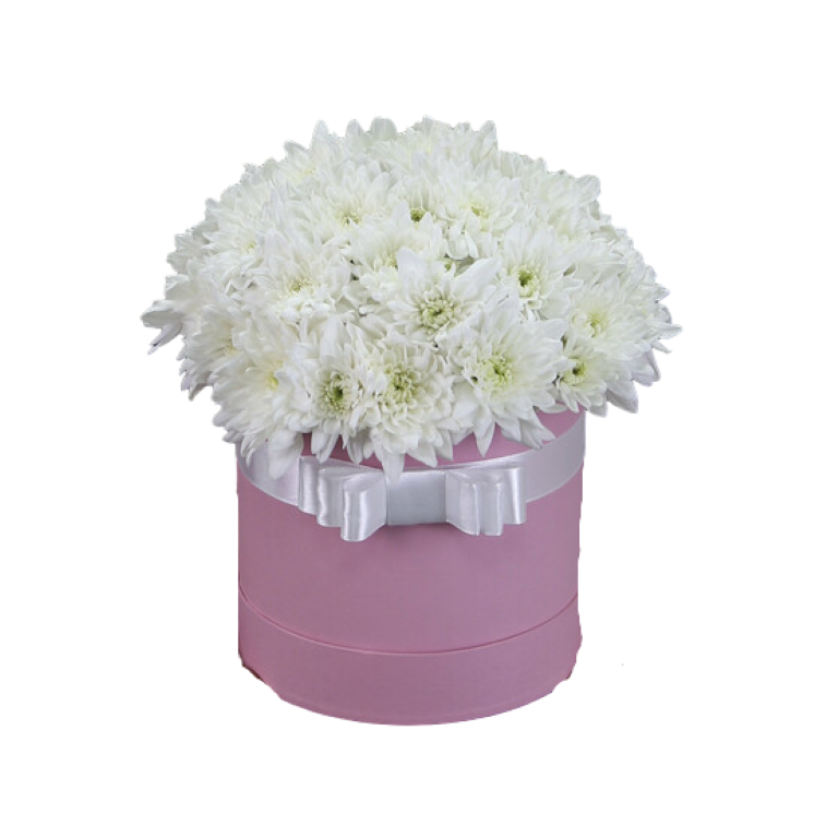 фото Белые кустовые хризантемы в розовой коробке "этель" nobrand