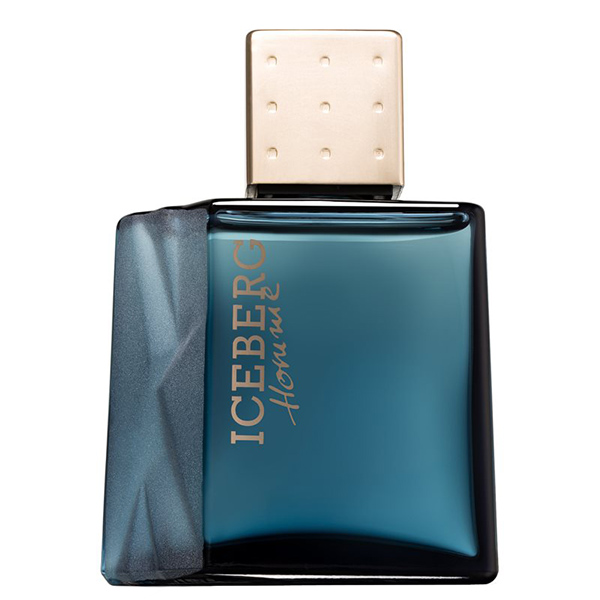 Туалетная вода Iceberg Homme 50 мл