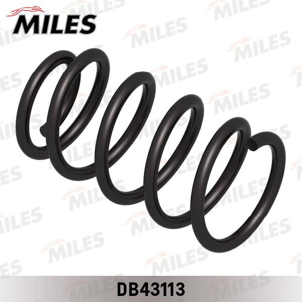 

Пружина Задней Подвески Hyundai Santa Fe 4wd 11/05- (Kyb Rc6343) Db43113 Miles арт. DB4311