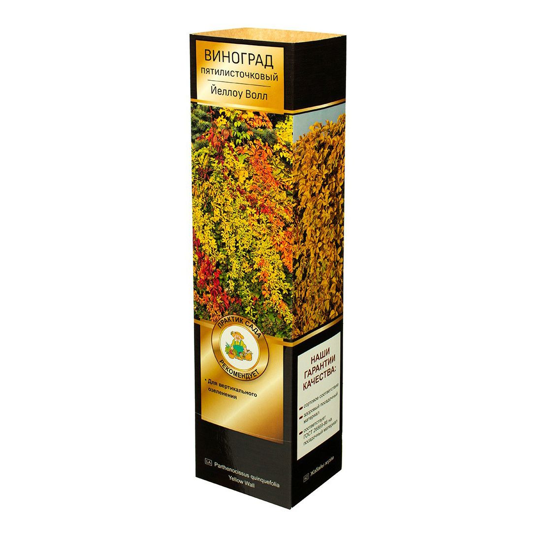 

Саженцы Поиск в ассортименте