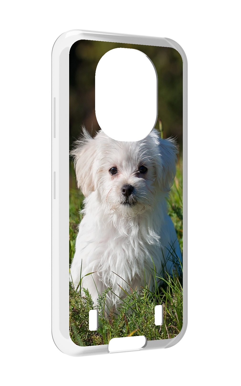 

Чехол MyPads мальтииская-болонка для Oukitel WP16, Прозрачный, Tocco