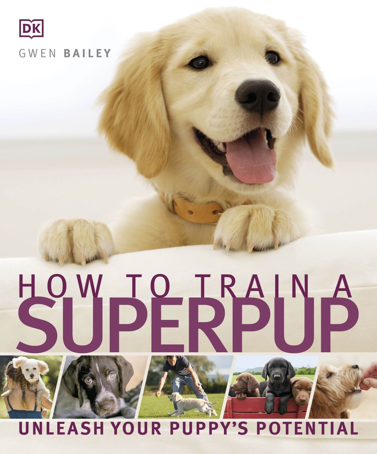 

How to Train a Superpup
