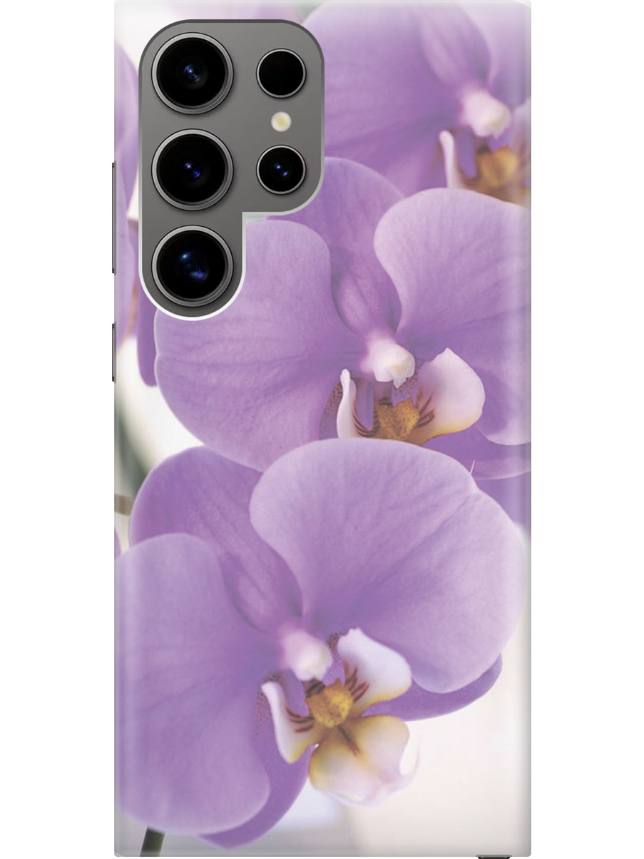 

Силиконовый чехол на Samsung Galaxy S24 Ultra с рисунком "Сиреневые орхидеи", Фиолетовый;серый, 20011898