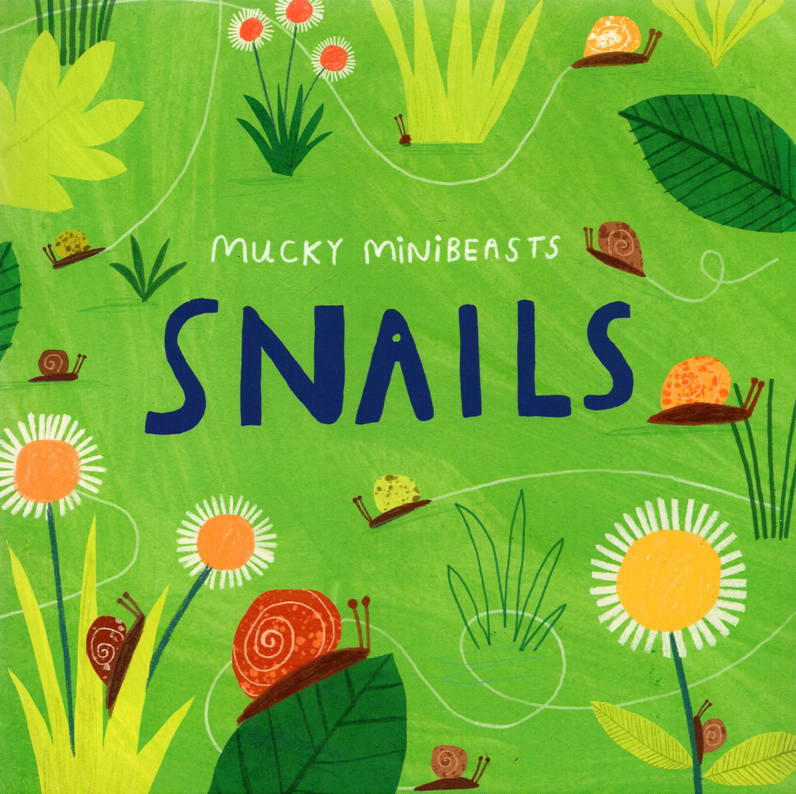 

Mucky Minibeasts Snails
