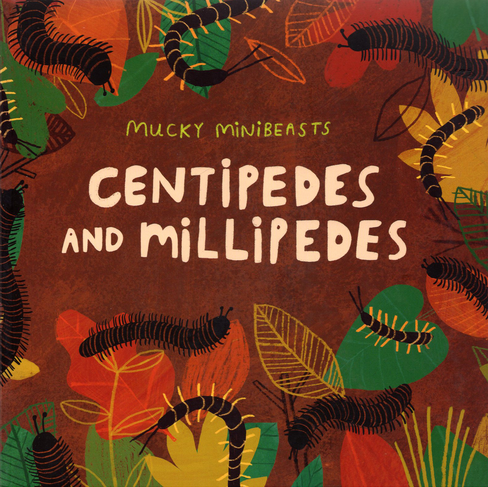 

Mucky Minibeasts Centipedes and Millipedes
