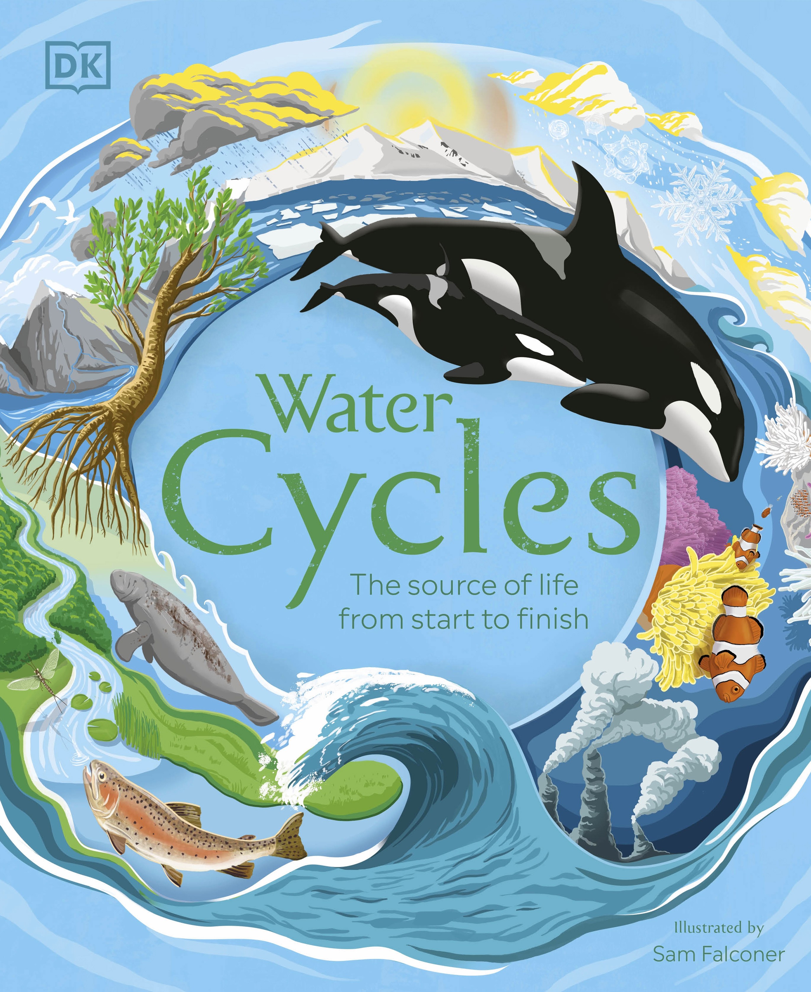 

Water Cycles