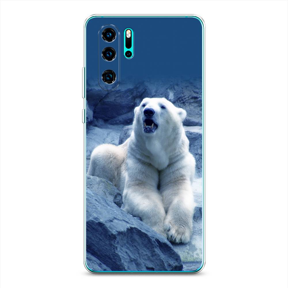 

Чехол на Huawei P30 Pro "Белый медведь", Голубой;белый, 67650-1