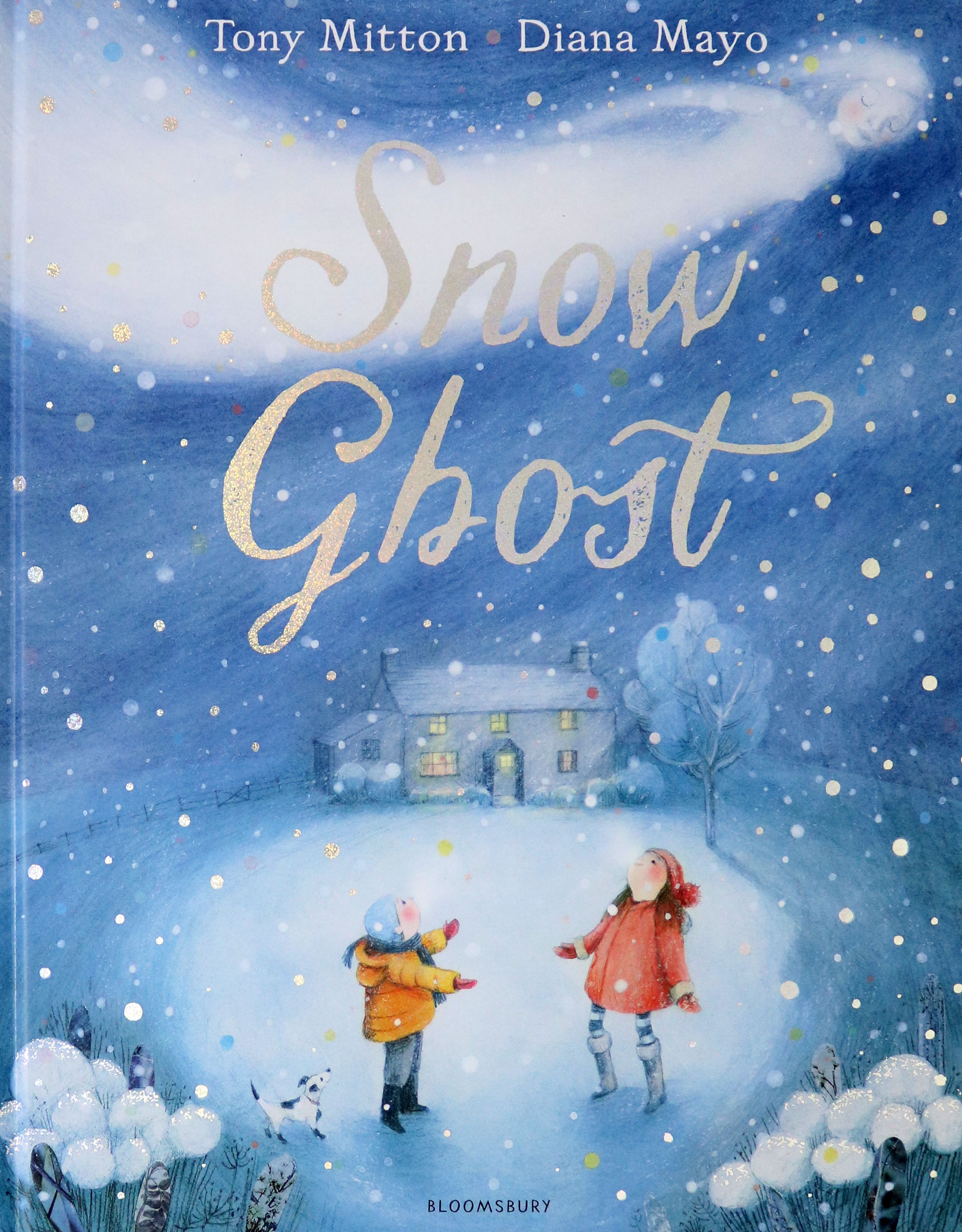 

Snow Ghost