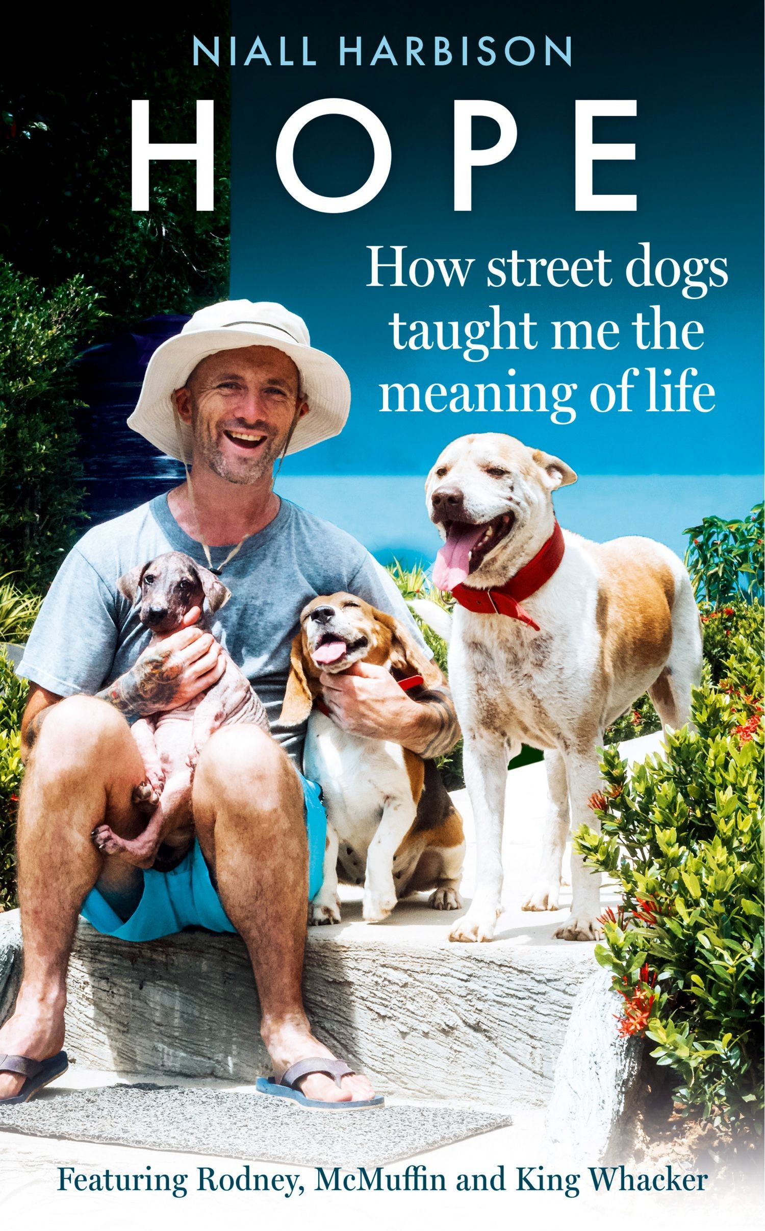 

Hope - How Street Dogs Taught Me the Meaning of Li