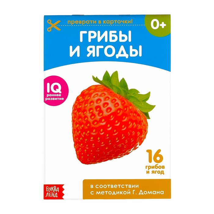 

Обучающие карточки Г. Домана «Грибы и ягоды», на скрепке, 20 стр., Книги по методике Домана Буква-Ленд