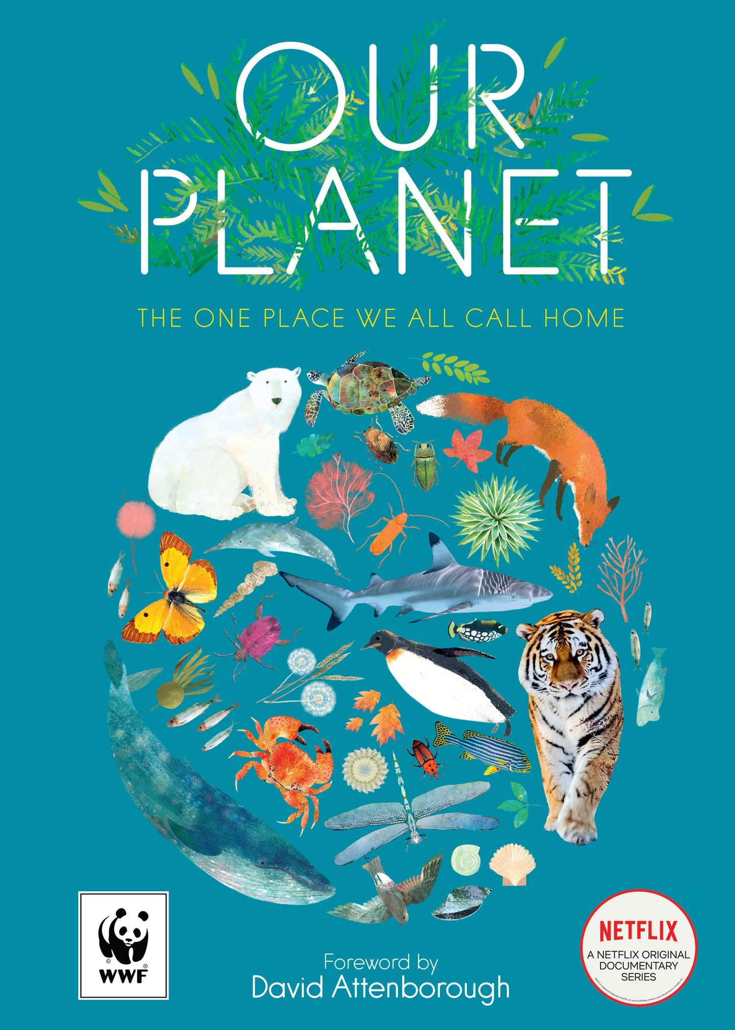

Our Planet The One Place We All Call Home