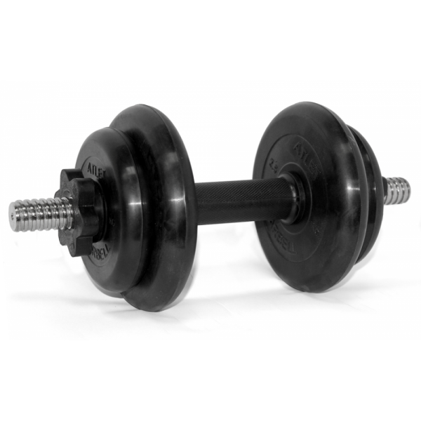 

Разборная гантель MB Barbell MB-FdbM31 1 x 9,5 кг, черный, MB-FdbM31