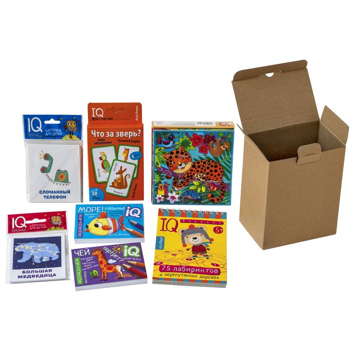 

Посылка. От Деда Мороза. 5-6 лет. Мини-комплект IQ-игр, Посылка малышу