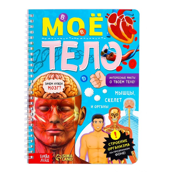 

Книга с прозрачными страницами «Моё тело», 32 стр., Книги с прозрачными страницами Буква-Ленд