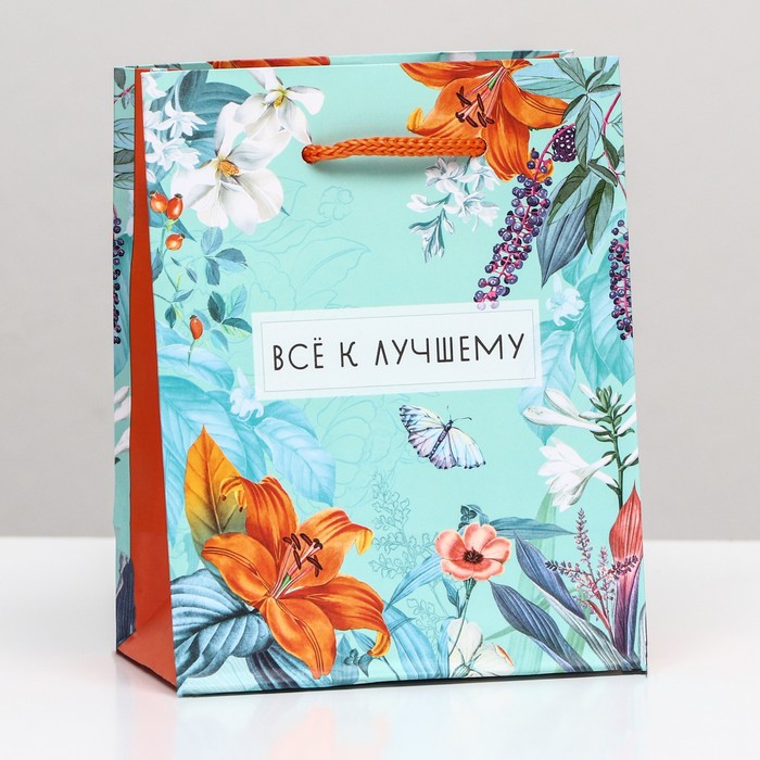 

Пакет подарочный "Все к лучшему" 11,5 х 14,5 х 6,5 см