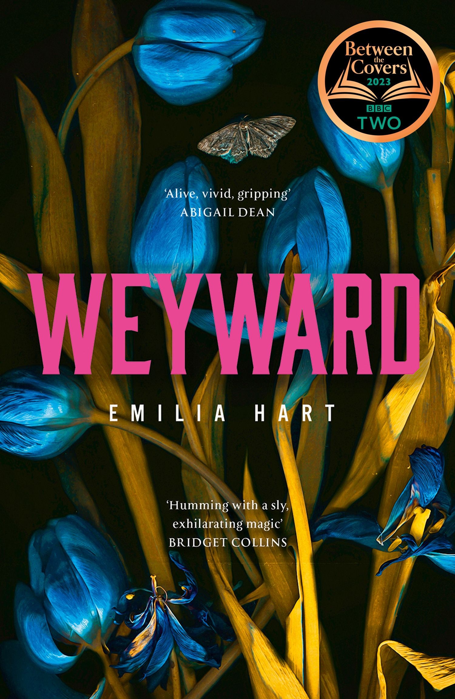 

Weyward