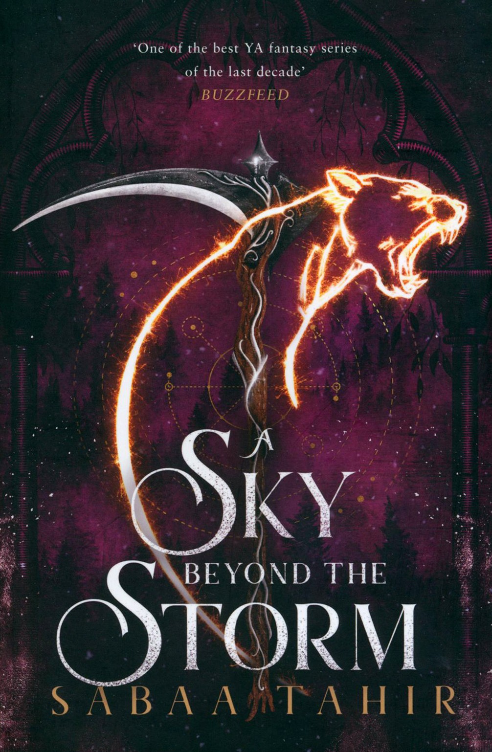 

A Sky Beyond the Storm