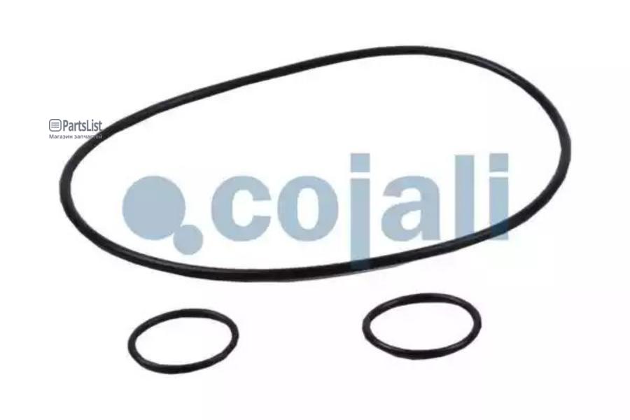 

Ремкомплект Пгу Уплотнителипыльник Штокамонжет