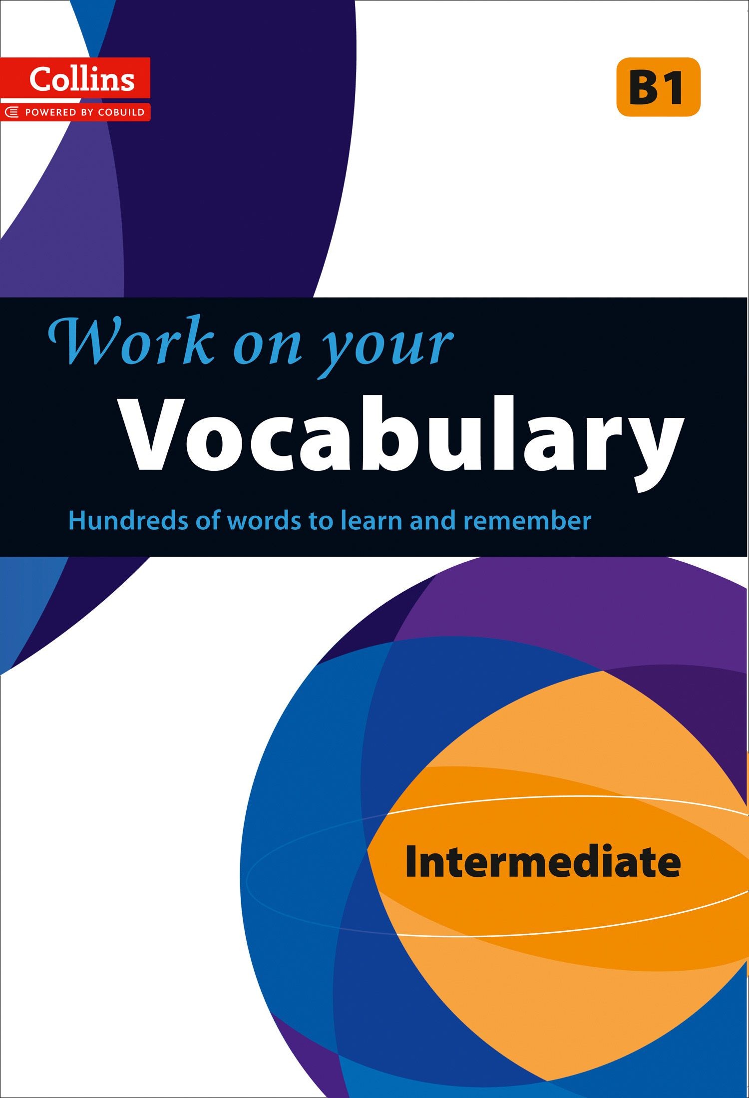 

Work on Your Vocabulary B1