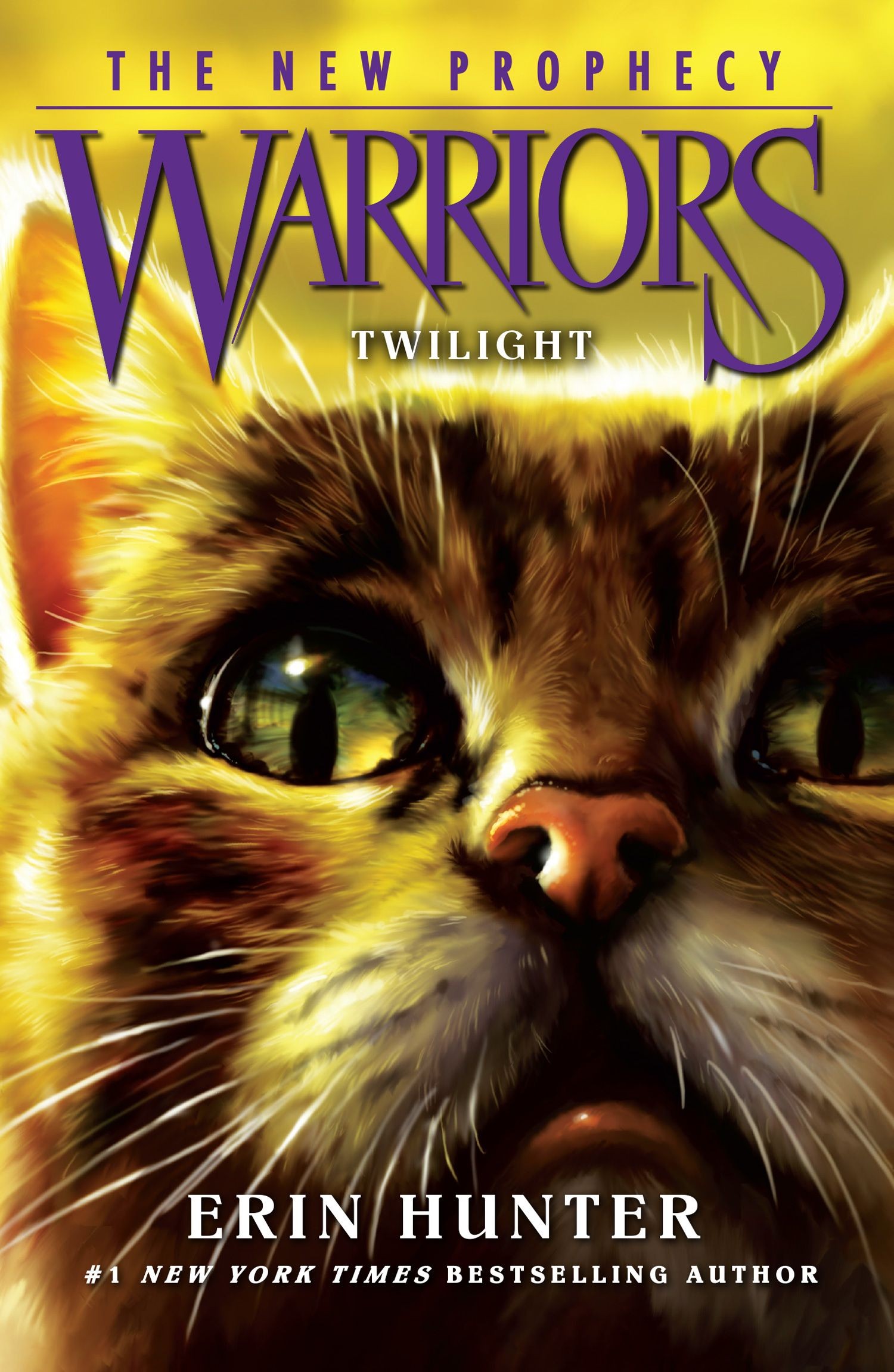 

Twilight