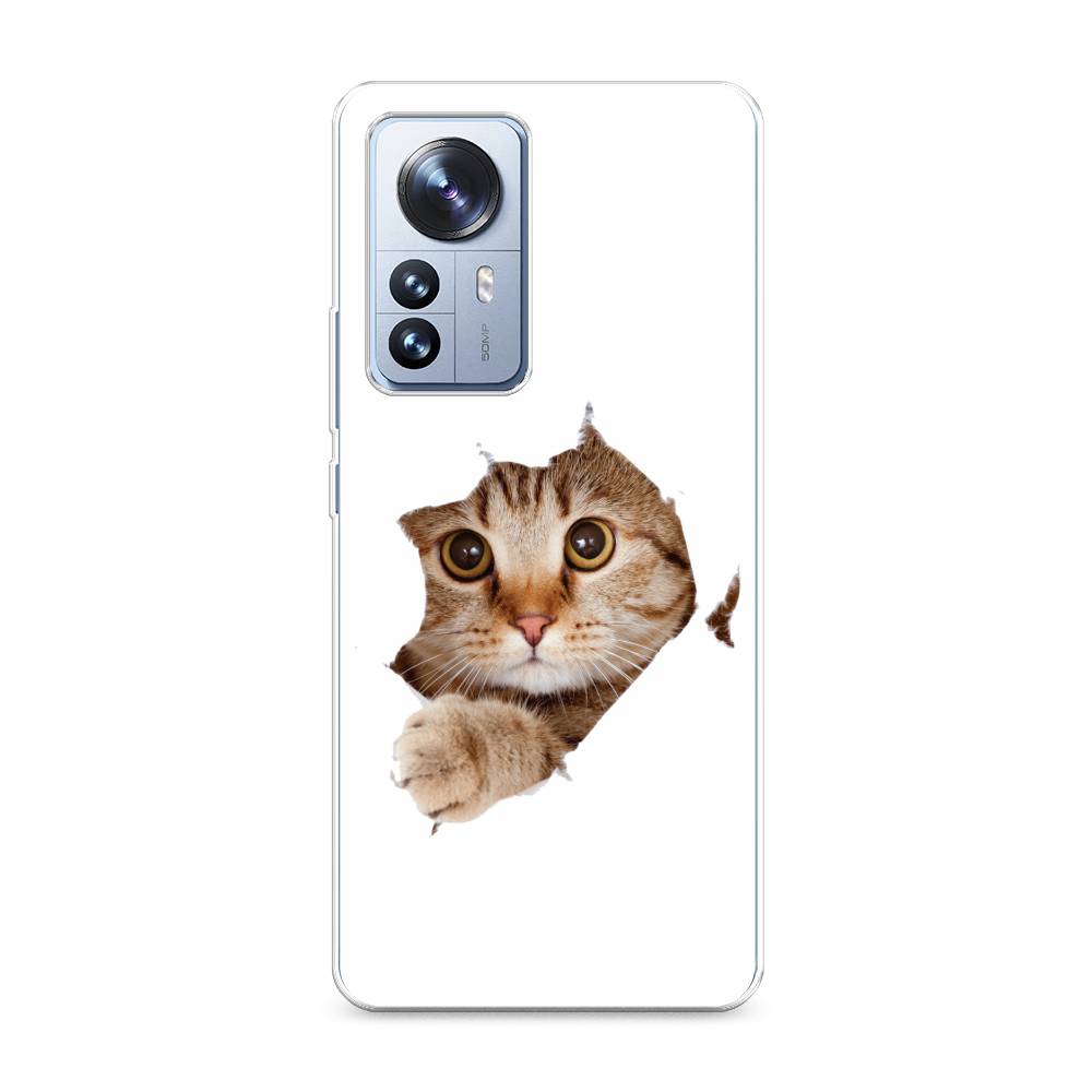 

Чехол на Xiaomi 12 Pro "Кот и бумага", Белый;коричневый, 314450-1