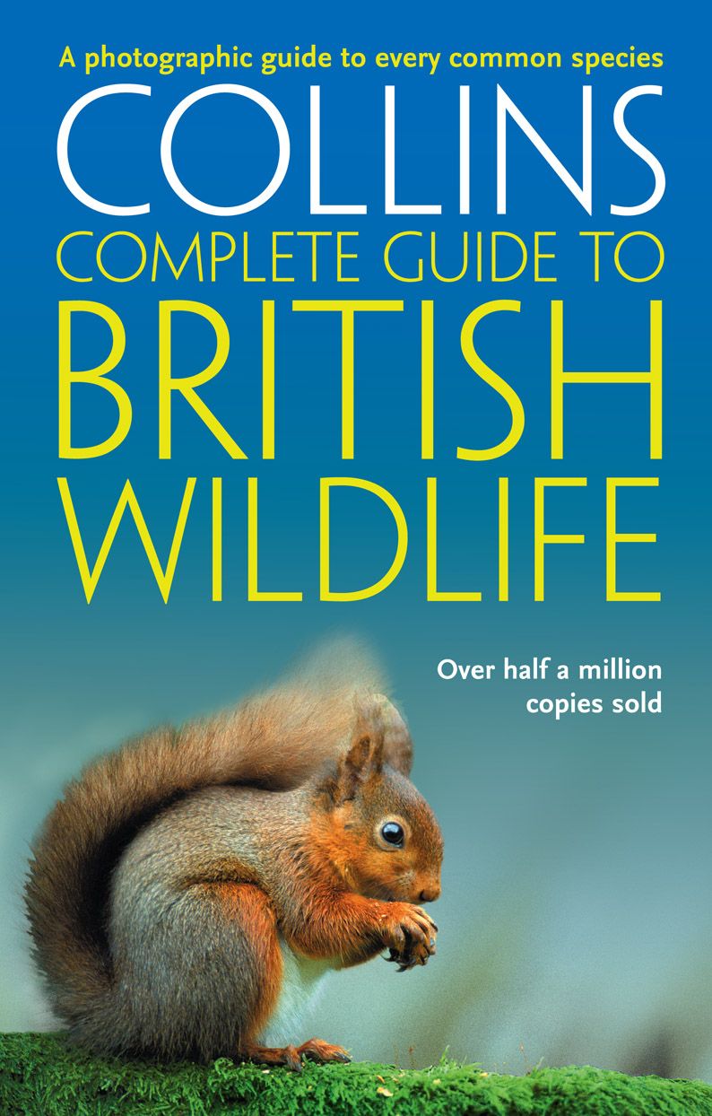 

British Wildlife A photographic guide to every common species