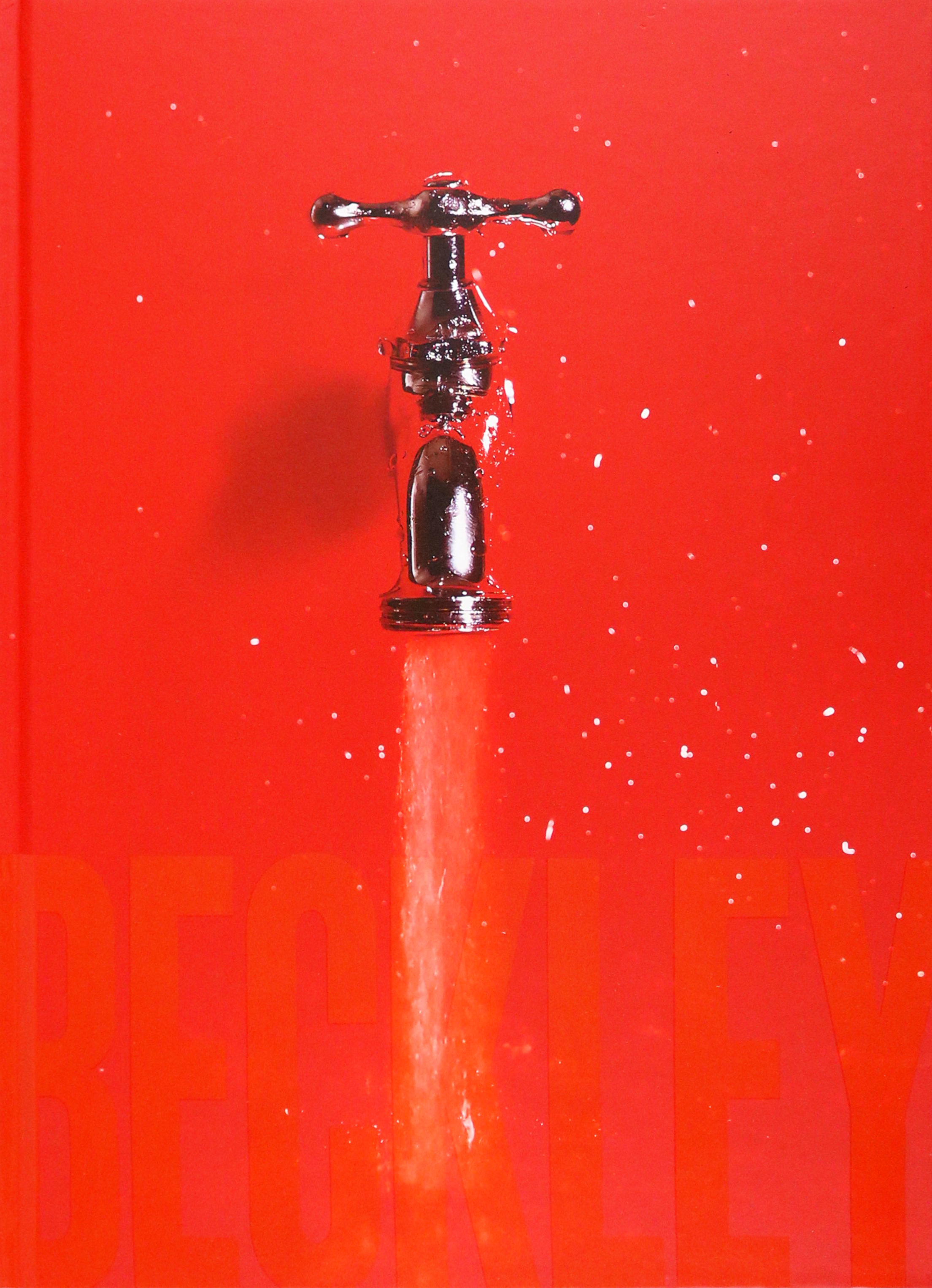 

Bill Beckley and Narrative Art The Word-Image Riddle and the Aesthetics of Beauty