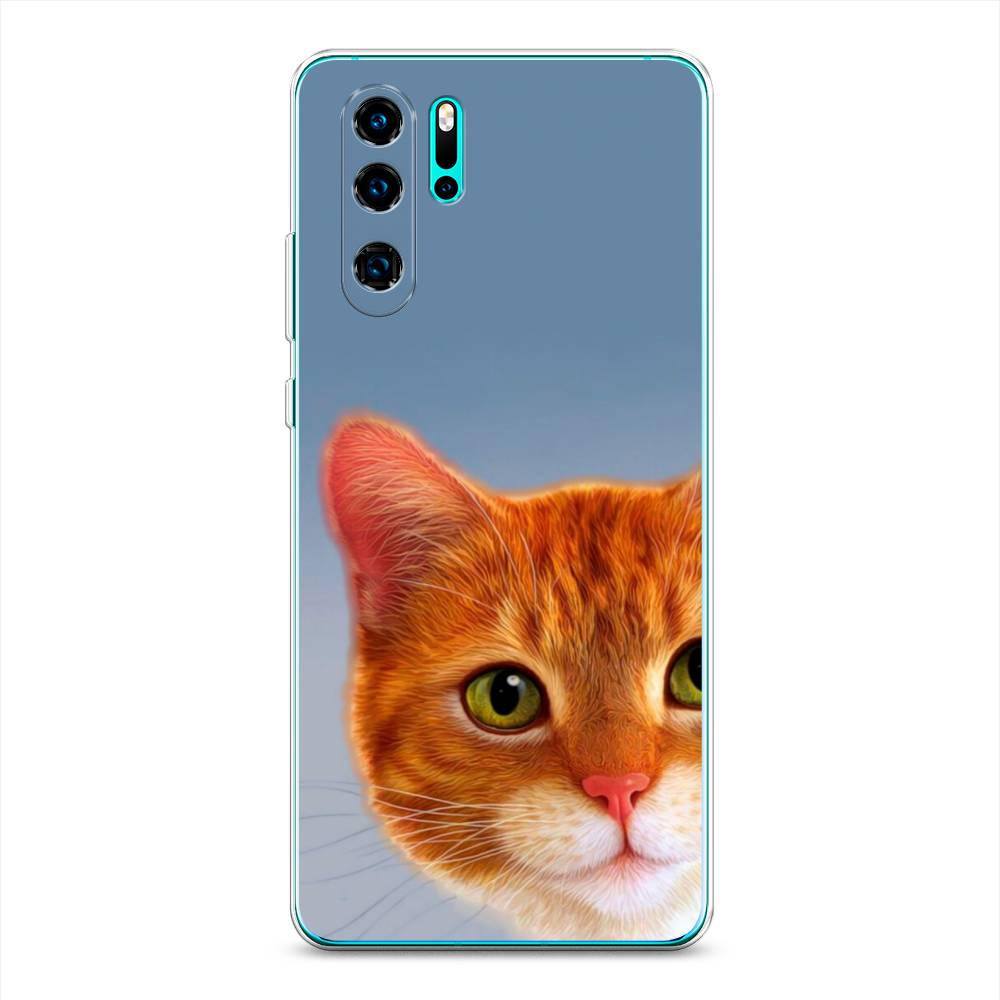 Чехол на Huawei P30 Pro  