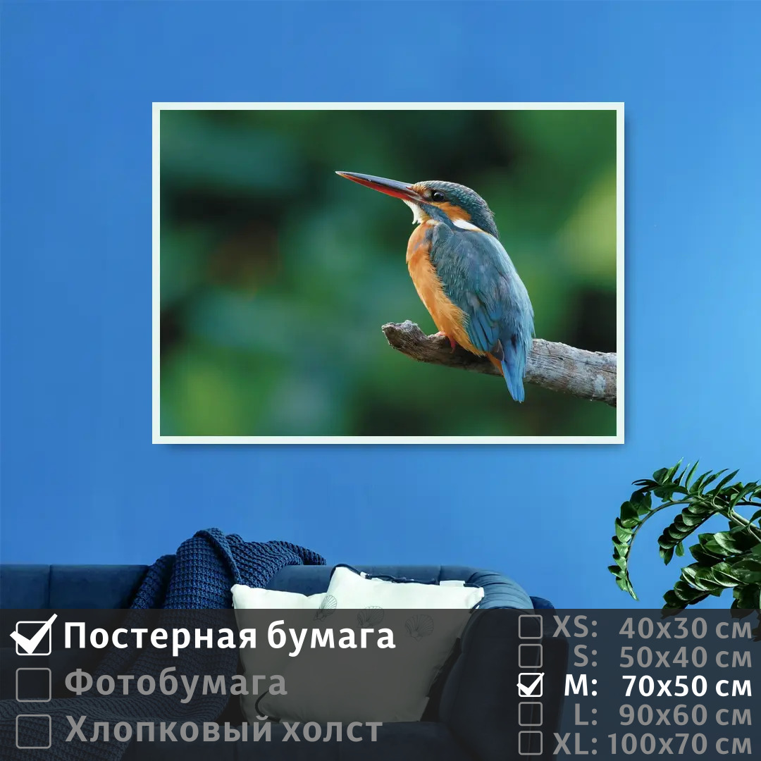 

Постер на стену ПолиЦентр Птичка на ветке 70х50 см, ПтичкаНаВетке