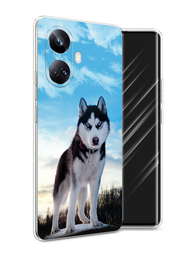 

Чехол Awog на Realme 10 Pro+ "Хаски 3", Белый;черный;голубой, 2512350-2
