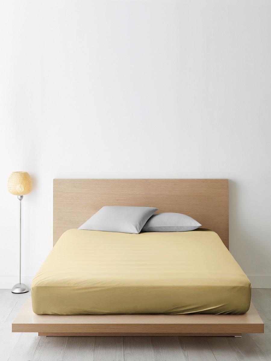 

Простыня Ночь Нежна Золотой 630 Поплин однотонный 220х200 евро