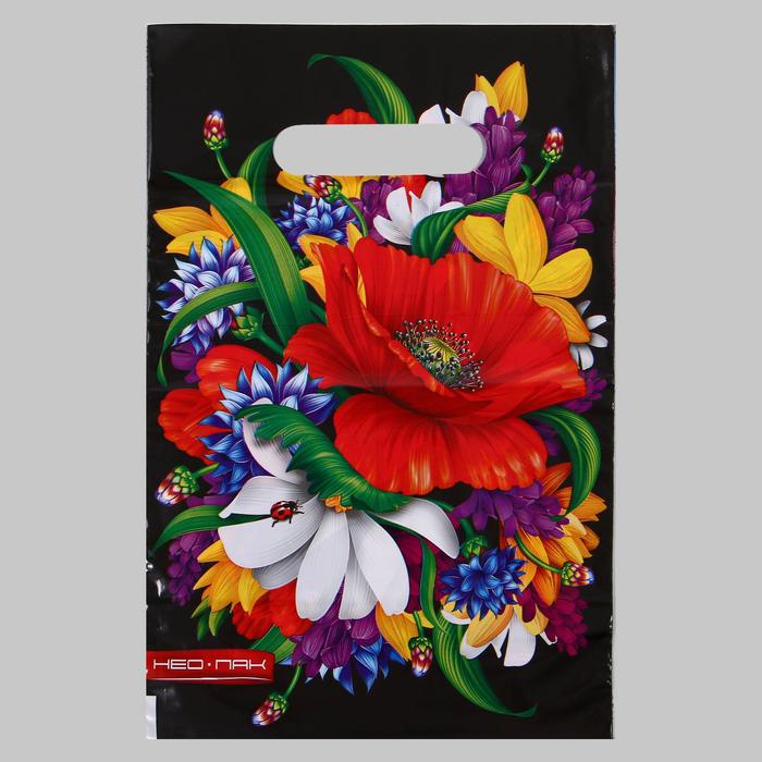 

Пакет Мак мини, полиэтиленовый с вырубной ручкой, 20х30 см, 30 мкм (100 шт), Разноцветный