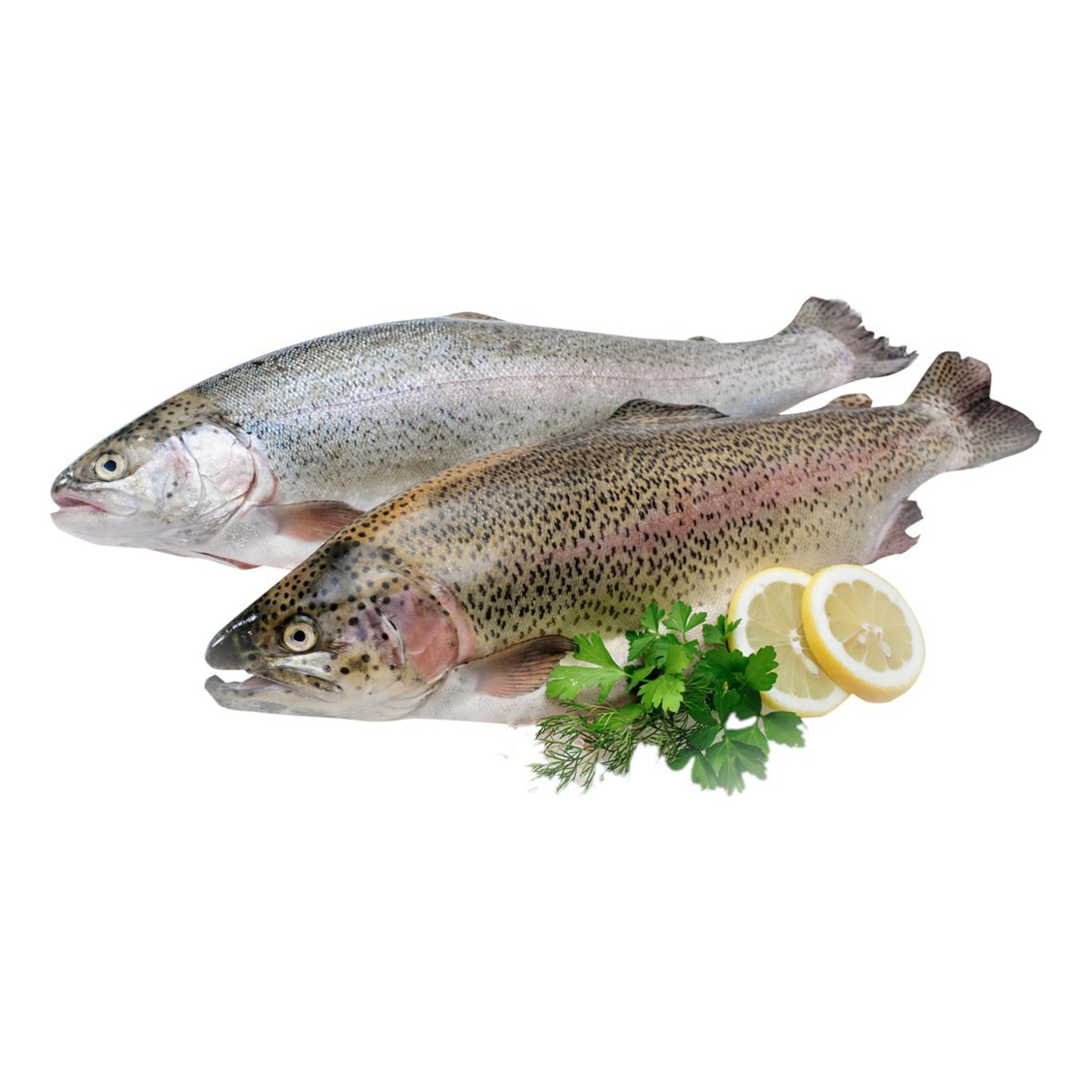 

Форель Карелия охлажденная +-600 г