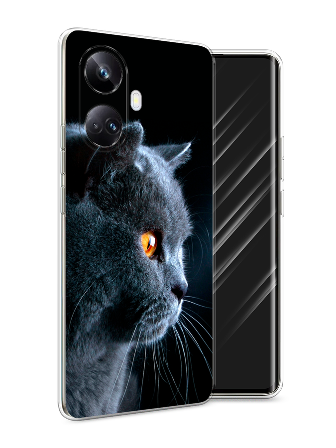 

Чехол Awog на Realme 10 Pro+ "Благородный кот британец", Черный;серый;оранжевый, 2512350-2