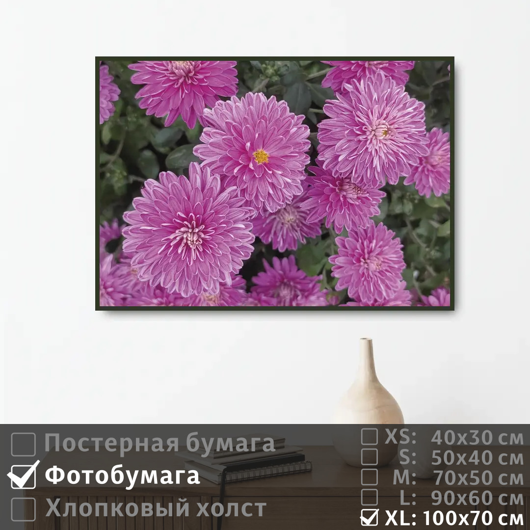 

Постер на фотобумаге ПолиЦентр Нежные хризантемы 100х70 см, НежныеХризантемы1
