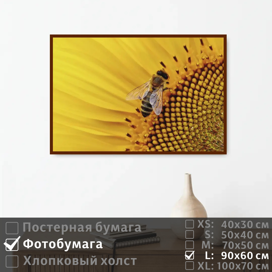 

Постер на фотобумаге ПолиЦентр Пчела в подсолнухе 90х60 см, ПчелаВПодсолнухе