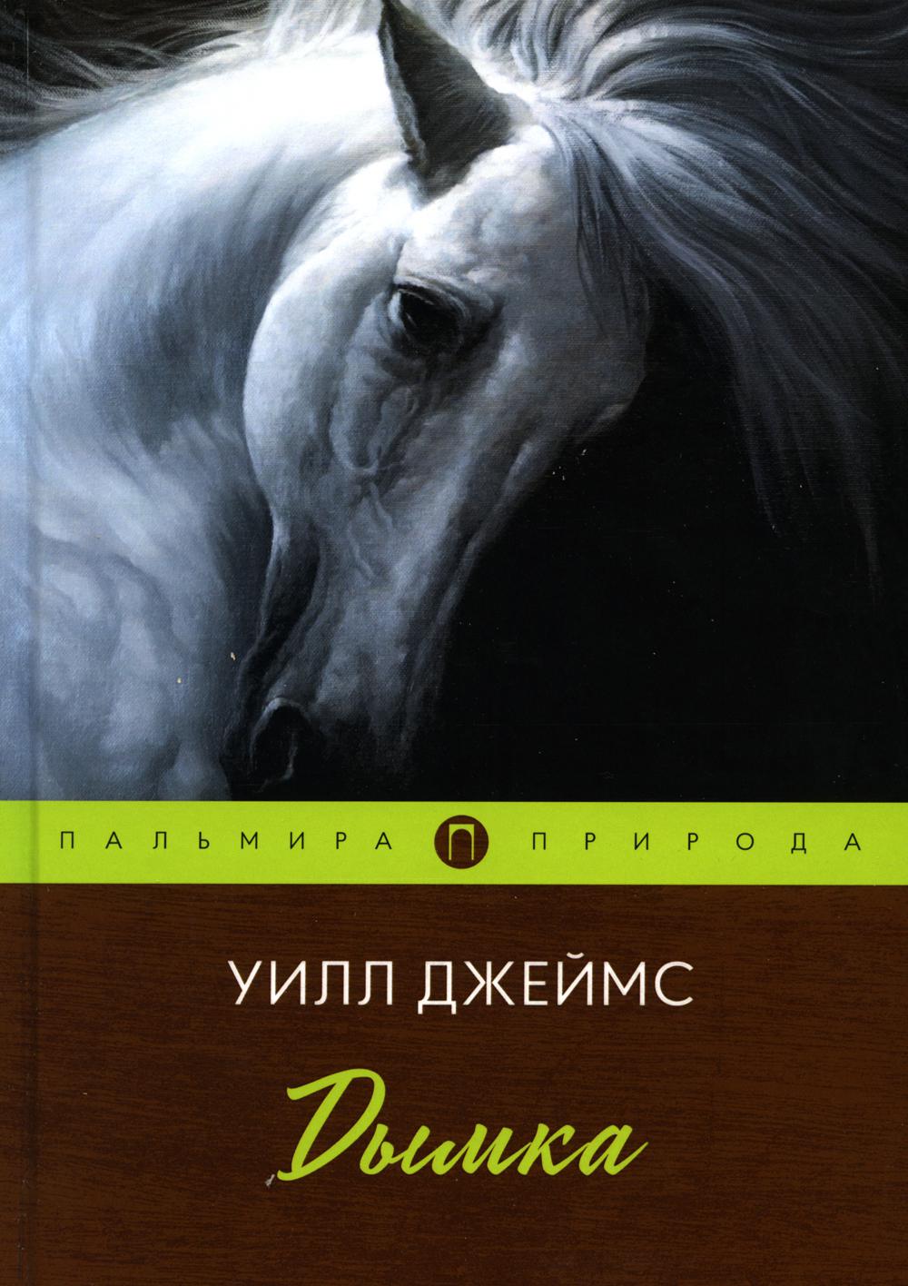 

Дымка