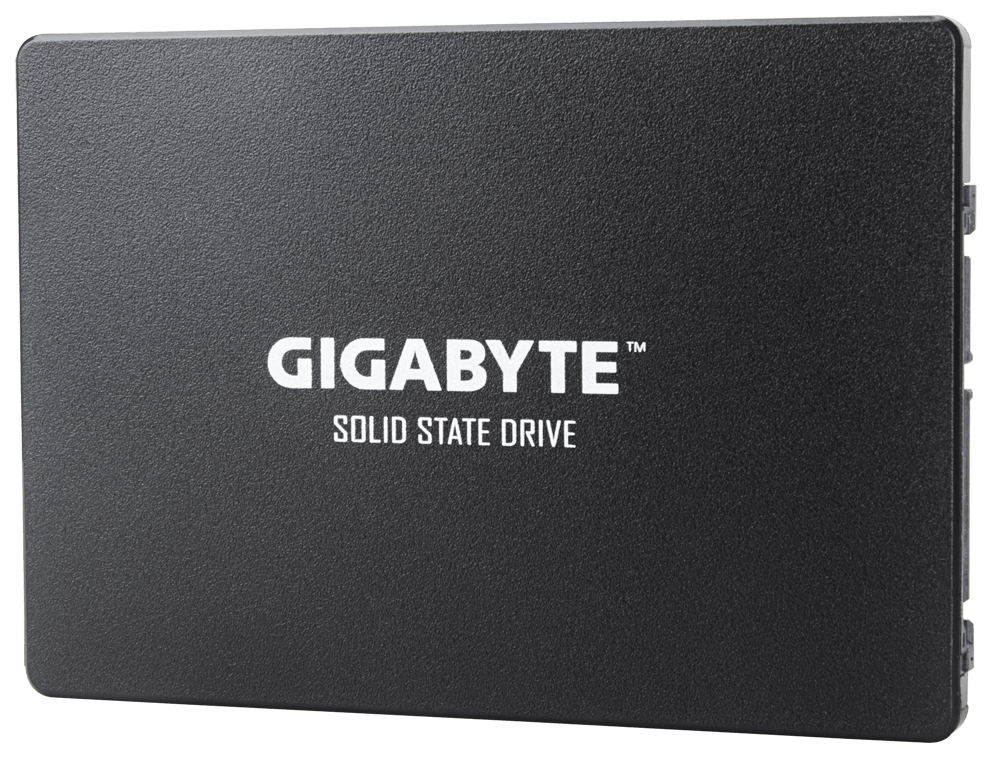 

SSD диск GIGABYTE GP-GSTFS31256GNTD 256 ГБ, GP-GSTFS31256GNTD